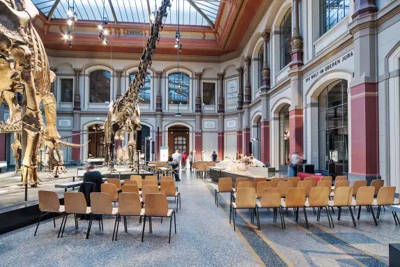 Blog BerlinMeetings Events im Museum, Naturkundemuseum Sauriersaal, Reihenbestuhlung