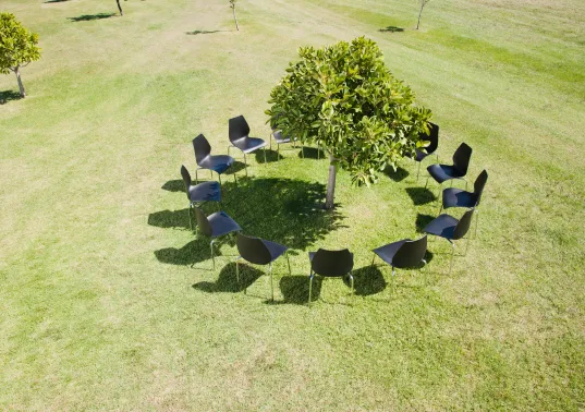Ein Stuhlkreis, der auf einer grünen Wiese um einen Baum aufgebaut ist
