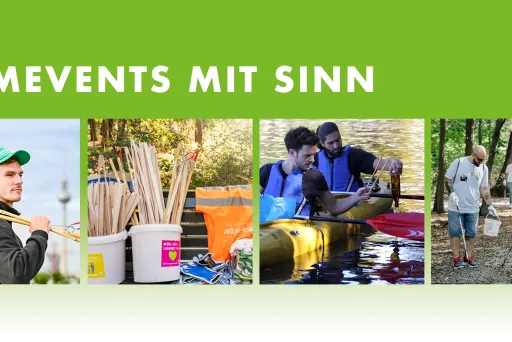 Menschen arbeiten gemeinsam draußen an verschiedenen Projekten, grün-weißer Hintergrund.