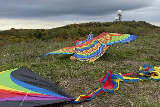 Zwei bunte Drachen liegen auf einer Wiese unter bewölktem Himmel.