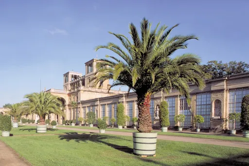 Palmen in großen Kübeln vor einem historischen Gewächshaus bei Sonnenschein