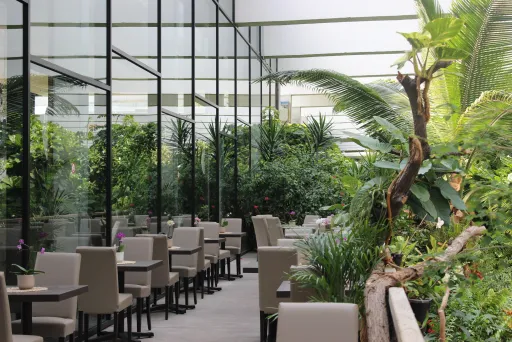 Restaurant Urwaldblick, Biosphäre Potsdam, Location