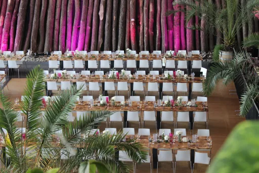 Orangerie Biosphäre Potsdam, Location