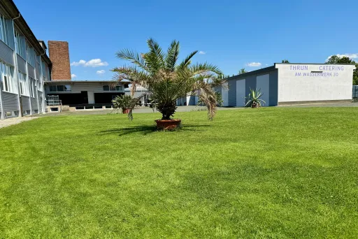 Große Wiese mit Palmen, umgeben von Gebäuden bei blauem Himmel.