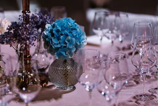 Leidenschaftliches Team für unvergessliche Erlebnisse