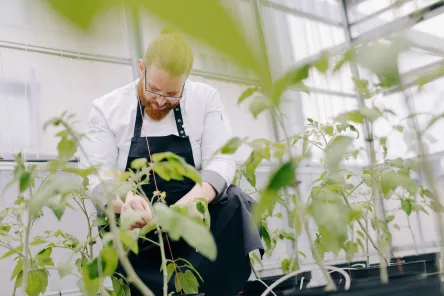 Dachgarten des Estrel Berlin