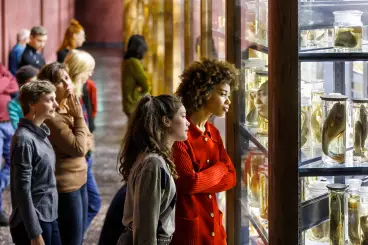 Besucherinnen im Museum für Naturkunde Besucherinnen im Museum für Naturkunde