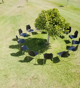 Ein Stuhlkreis, der auf einer grünen Wiese um einen Baum aufgebaut ist