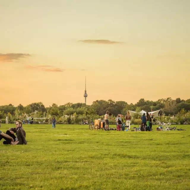 Tempelhofer Feld am Abend, Menschen entpannen im Grünen