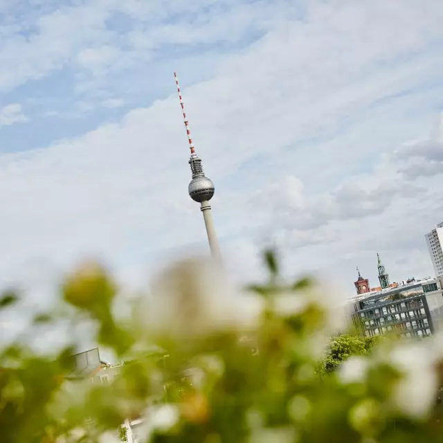 Berliner Fernsehturm