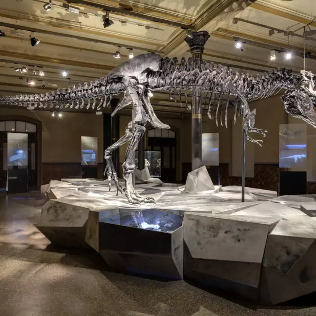 Blog BerlinMeetings Events im Museum - Sauerier Tristan im Saueriersaal des Naturkundemuseum