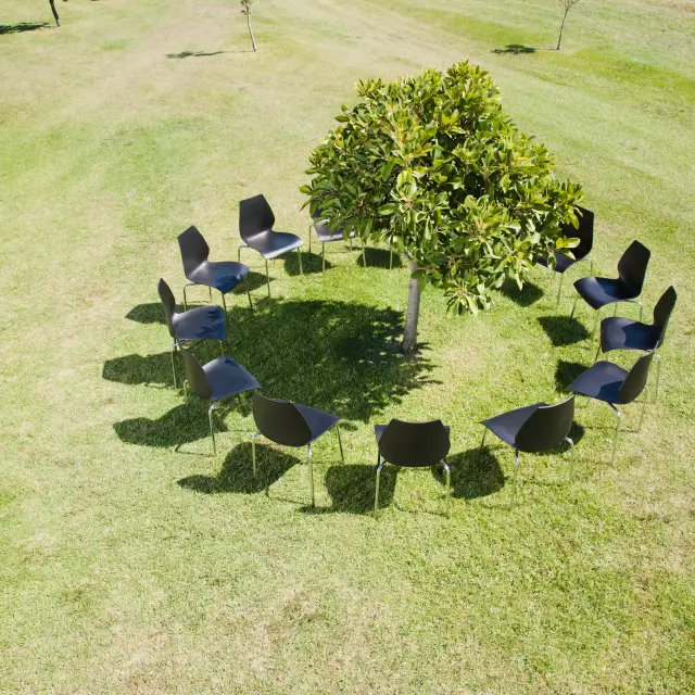 Berlin Convention Office, Green Meetings Berlin, stuhlkreis ohne Menschen auf einer grünen Wiese um einen Baum herum