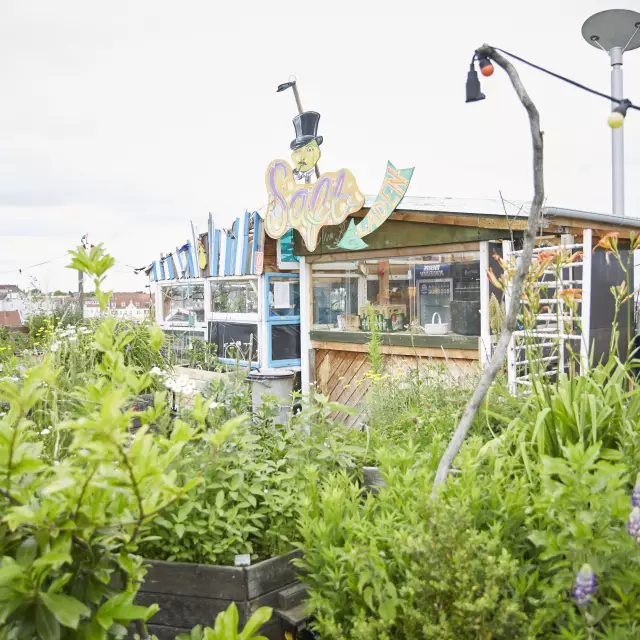 con|temporary weekends Berlin, Green Tour, begrüntes Dach mit Bar