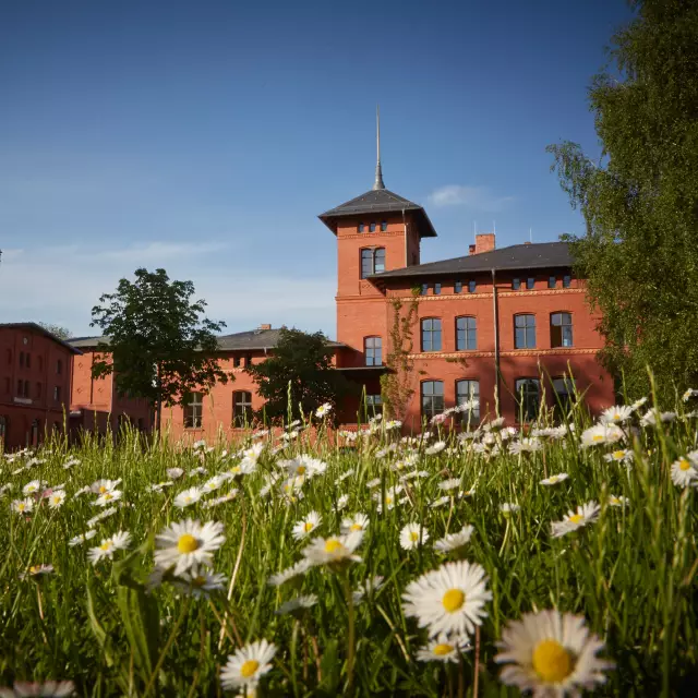 Das Außengelände der Eventlocation Landgut Stober an einen sonnigen Tag