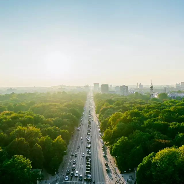 Blick auf den grünen Tiergarten Berlin von oben bei Sonnenaufgang
