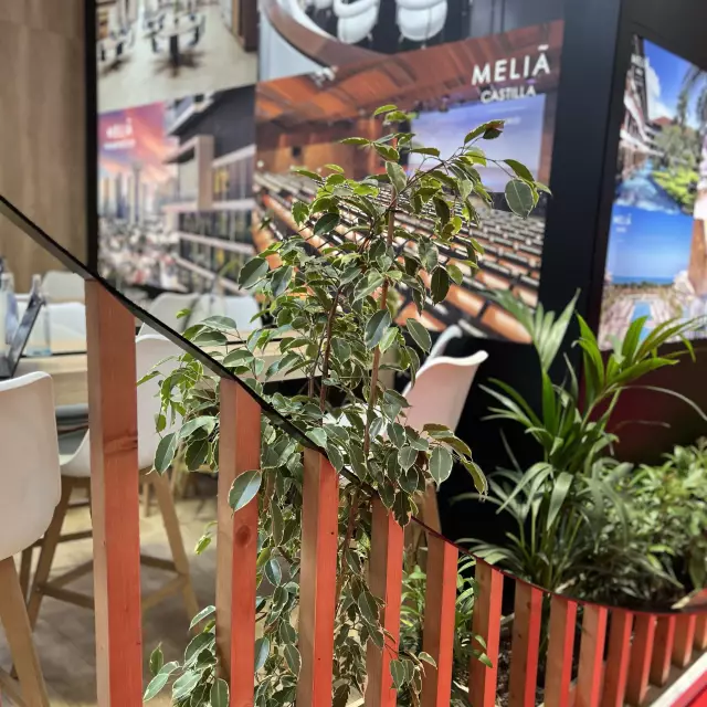 Messestand mit Pflanzen