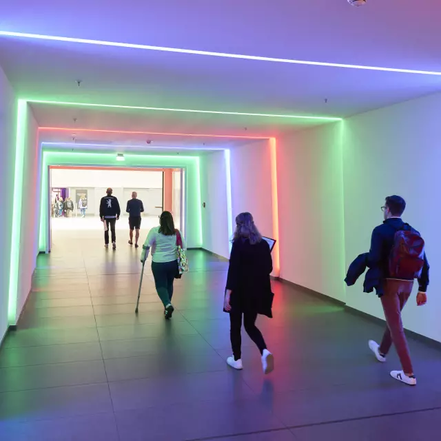 Bestival Masterclass 2024