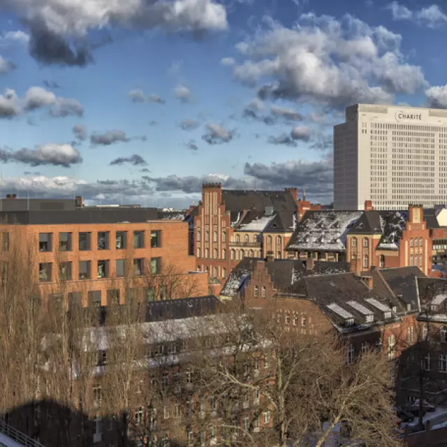 Charité – Universitätsmedizin Berlin