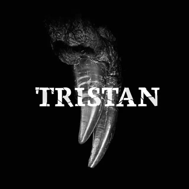 Tristan