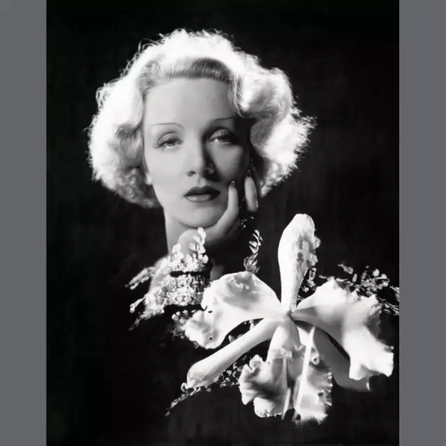 Cecil Beaton, Actress Marlene Dietrich, Vanity Fair, 1932
