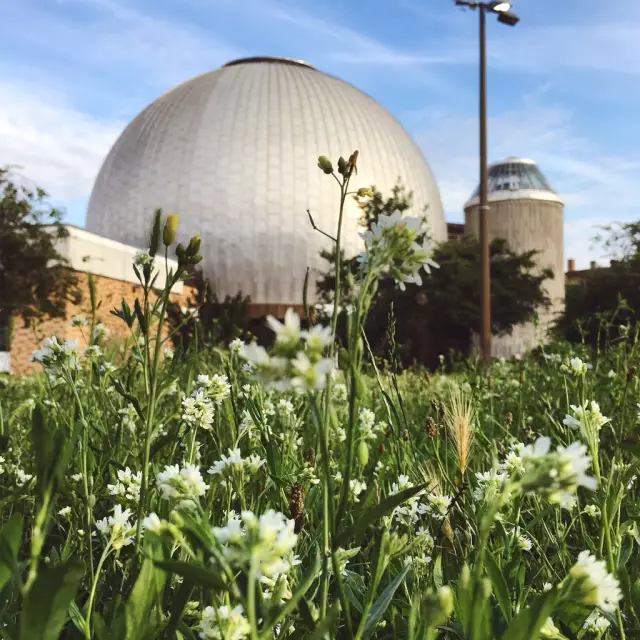 Planetarium Prenzlauer Allee