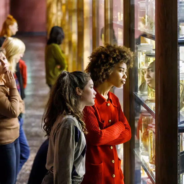 Besucherinnen im Museum für Naturkunde