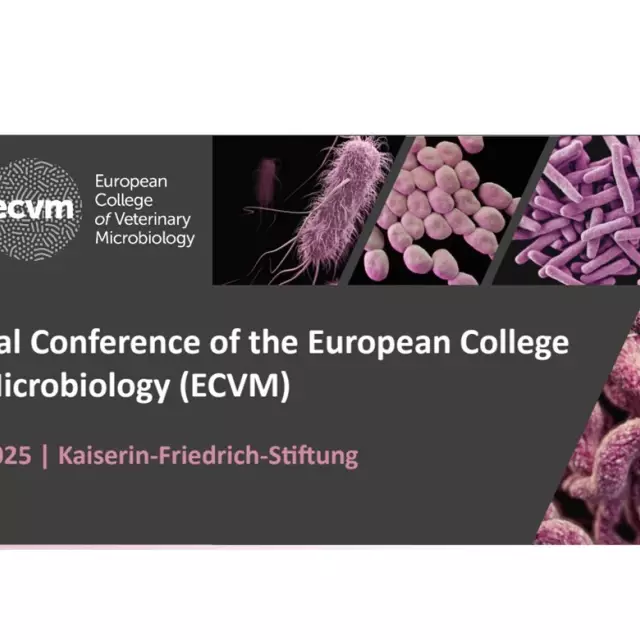 ECVM