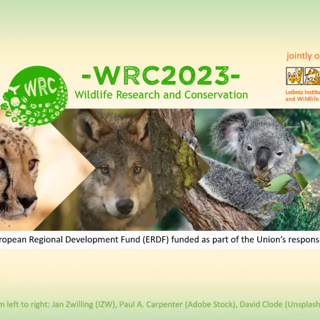 Banner Wildlife Research and Conservation 2023