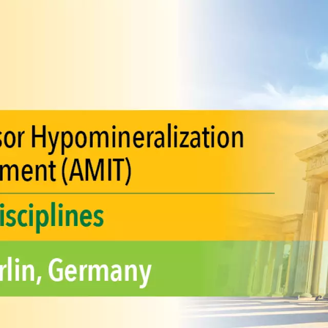 The 2nd Alliance of Molar Incisor Hypomineralization (MIH) Investigation and Treatment (AMIT) Banner