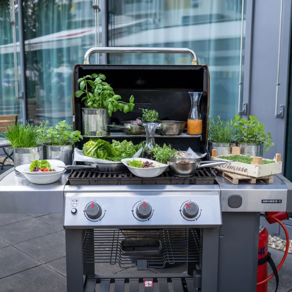 Eisstockpaket: Grill mit frischen Kräutern und Gemüse auf einer Terrasse neben der Eisstockbahn