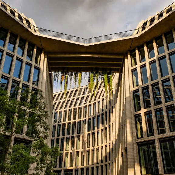 Architektonisch schönes bewachsenes Gebäude mit vielen Fenstern