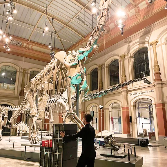 Servicepersonal schiebt Rolli bei einem Event im Naturkundemuseum Berlin