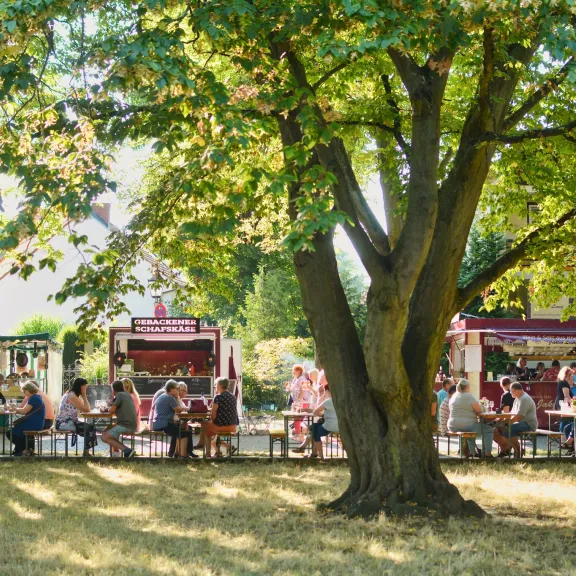 Menschen sitzen an langen Tischen unter schattigen Bäumen und genießen Wein und passende Snacks auf einem lebendigen Weinmarkt mit Genusshandwerker‑Ständen im Hintergrund