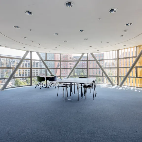 Heller Konferenzraum mit rundem Tisch, Stühlen und großen Fenstern, Pflanze rechts.