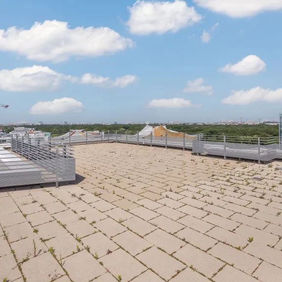 Flaches begrüntes Dach mit wenigen Pflanzen, Blick auf Stadt und blauen Himmel mit Wolken.