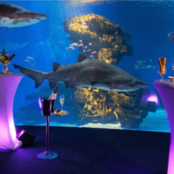 KI-generierter Ansichtsentwurf eines Cocktailempfangs vor einem großen Aquarium mit Haien und tropischen Fischen; beleuchtete Stehtische, Getränke und Snacks setzen farbige Akzente.
