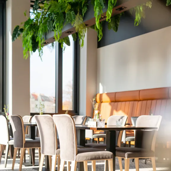 Helles, modernes Restaurant mit großen Fenstern und grünen Pflanzen an der Decke.