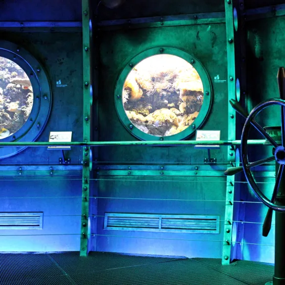 Unterwasserwelt, Biosphäre Potsdam, Location, 