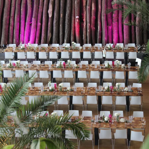 Orangerie Biosphäre Potsdam, Location, Meeting Guide Berlin