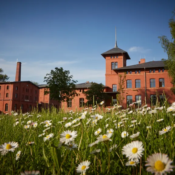 Das Außengelände der Eventlocation Landgut Stober an einen sonnigen Tag