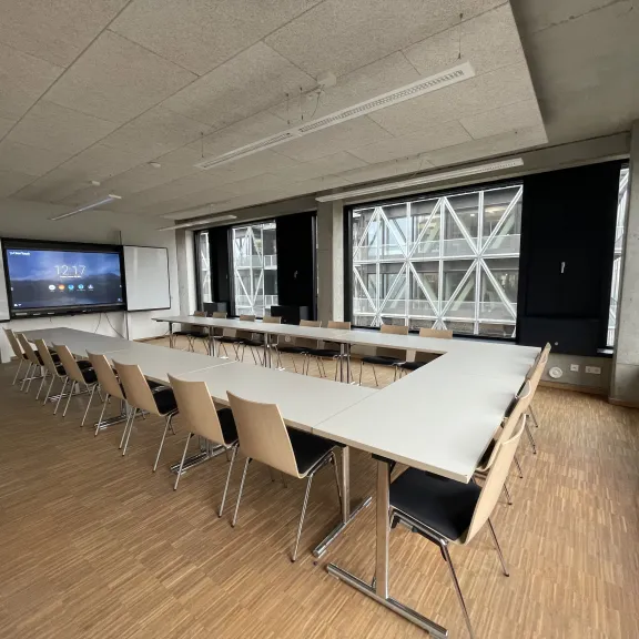 Raum Large im frizzforum