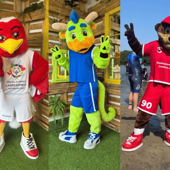 mehrere Maskottchen