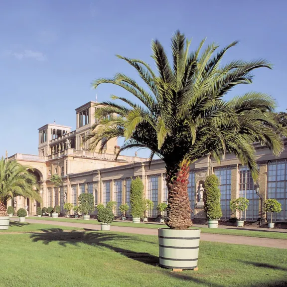 Historisches Gewächshaus mit Palmen in großen Kübeln vor dem Gebäude bei blauem Himmel.