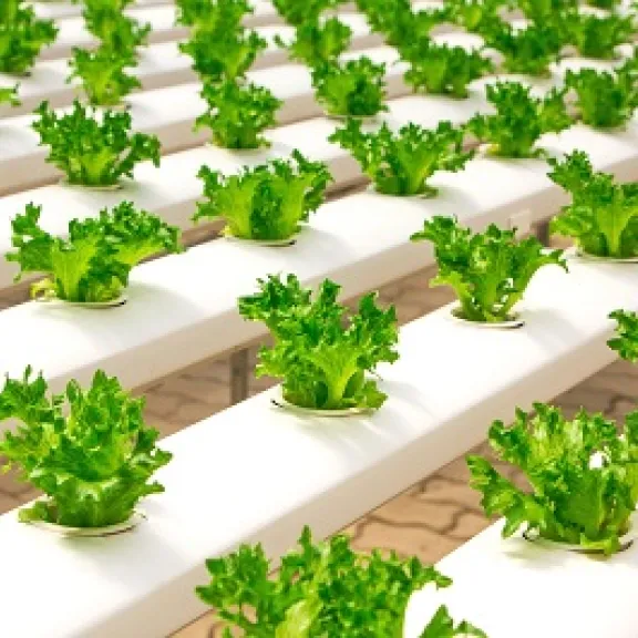 bttr stark - auch mit Salat