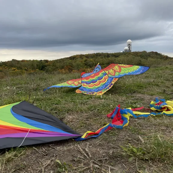 Zwei bunte Drachen liegen auf einer Wiese unter bewölktem Himmel.
