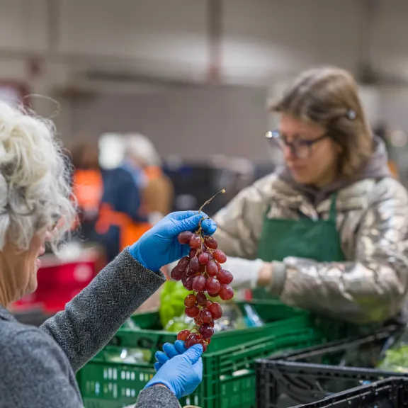 Zwei Damen sortieren Obst. Hochgehalten wird eine Traubenrebe.