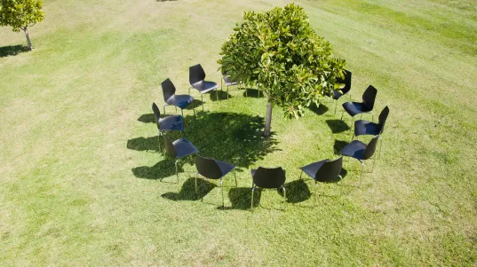 Ein Stuhlkreis, der auf einer grünen Wiese um einen Baum aufgebaut ist