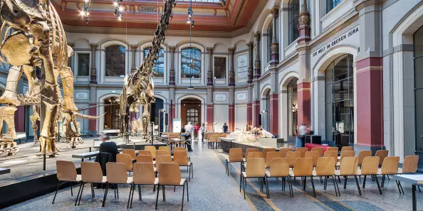 Blog BerlinMeetings Events im Museum, Naturkundemuseum Sauriersaal, Reihenbestuhlung