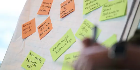 Bestival Sustainability 2024 Masterclass