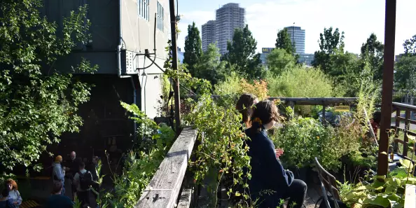 Sustainable Berlin MeetUp